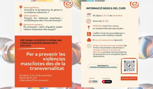  Formació subvencionada per a entitats Per a prevenir les violències masclistes des de la transversalitat